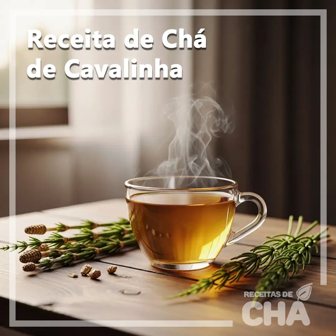 Receita de Chá de Cavalinha - www.receitasdecha.com