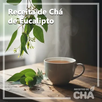 Receita de Chá de Eucalipto - www.receitadecha.com