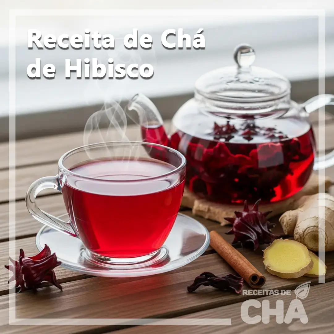 Receita de Chá de Hibisco - www.receitasdecha.com