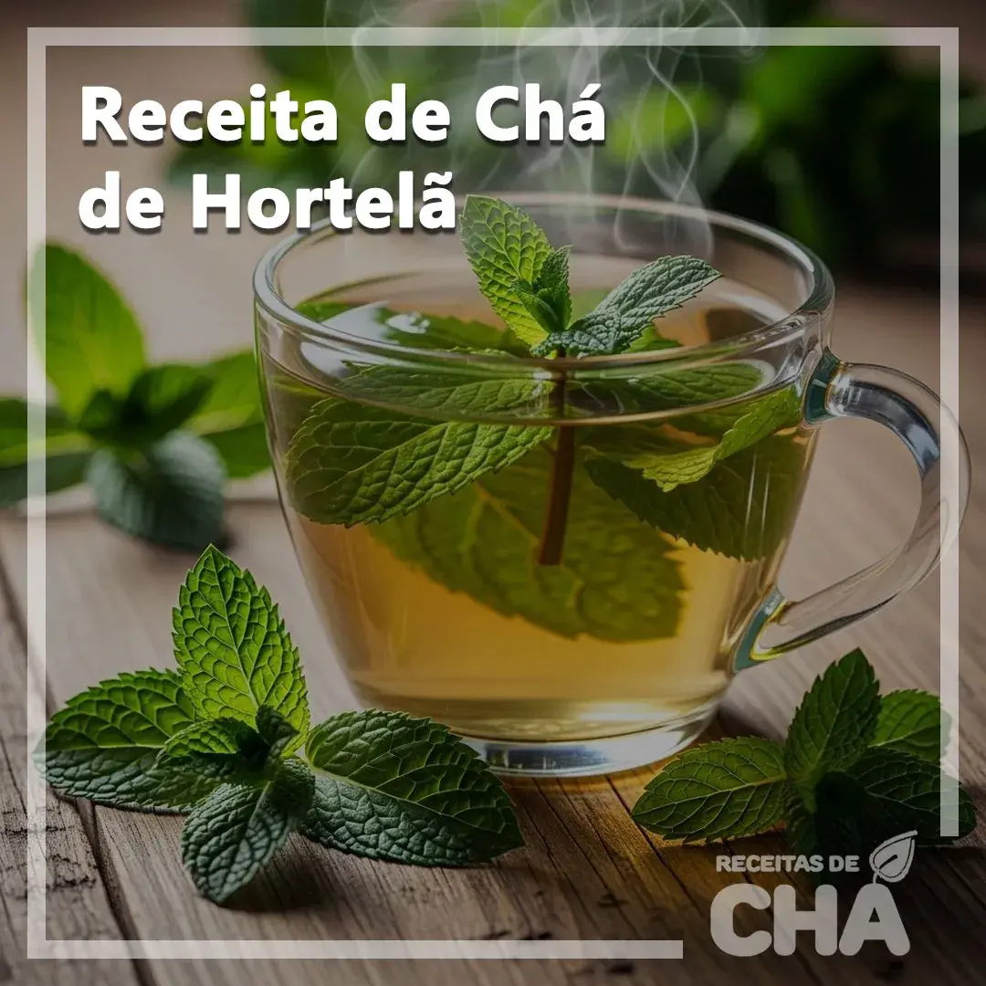 Receita de Chá de Hortelã - www.receitasdecha.com